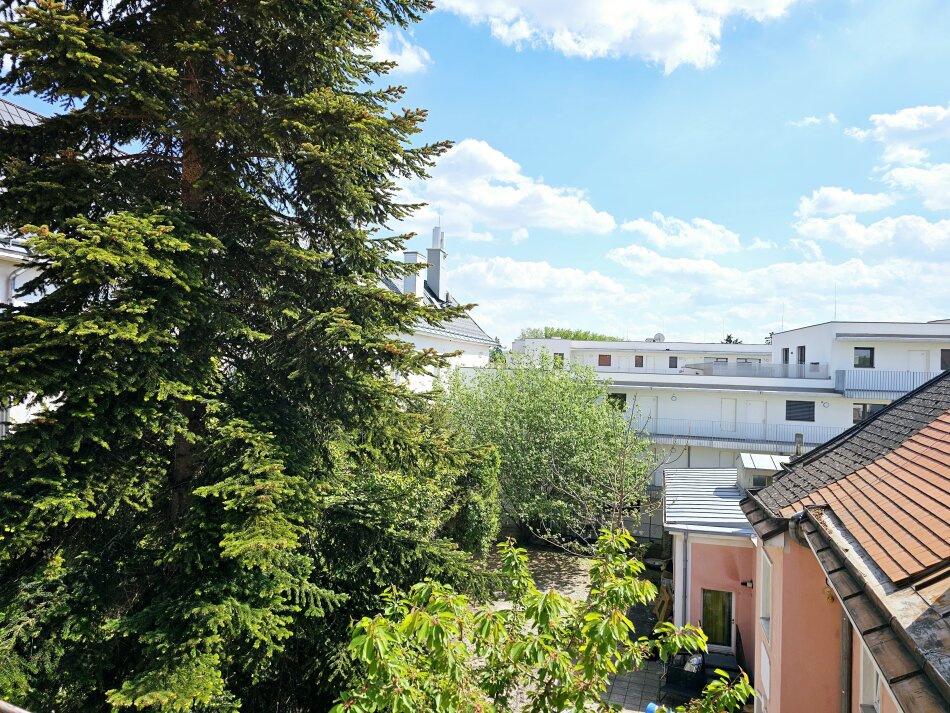 Property Photo (56391)